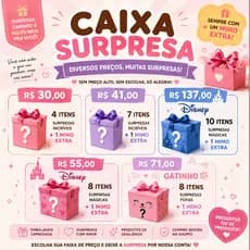 CAIXA MISTERIOSA - GATINHO