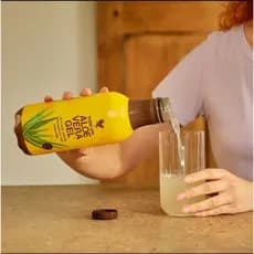 Suco Aloe vera Gel Babosa Natural-VEGANO 100% Original FLP