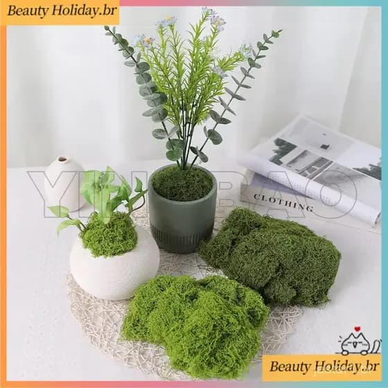 30/50/100g Musgo Falso DIY Artesanato Grama Artificial Preservado Plantas Verdes Casa Quarto Decoração Do Jardim Mini Pa