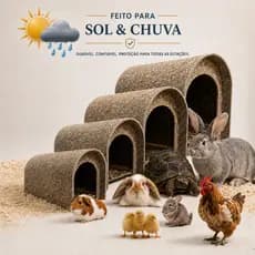 Casinha Para Tartaruga Toca Ecológica Pet Coelho Galinha Codorna Chinchila Porquinho Índia Jabuti