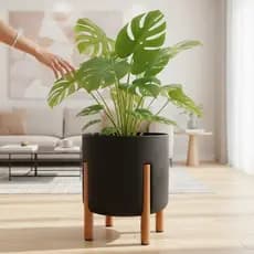 Vaso Decorativo com Pé de Madeira - Design Moderno para Sala, Casa e Escritorio (30x26)