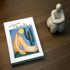 Kit Escultura Mulher Poliresina Cinza e Livro Caixa Nude Lux
