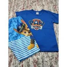 Roupa Infantil Patrulha canina ,Homem Aranha,Mickey Short e Camiseta Temática Festa Aniversário Fantasia
