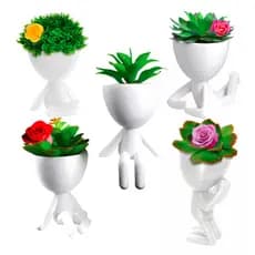Kit 5 Vasinhos Decorativo Robert Plant Bob Para Suculentas