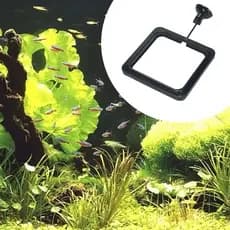 Anel De Alimentação De Peixes Aquário De Vidro