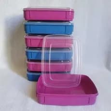 2 PORTA FRIOS PLÁSTICO PRESUNTO E QUEIJO COLORIDO SUA GELADEIRA MAIS ORGANIZADA