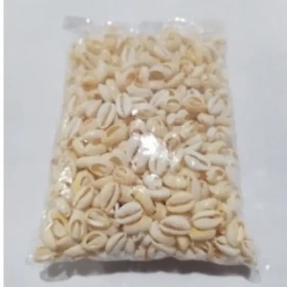 Buzios  500 GRAMAS Cortado para Artesanato Pacotes com 500gr