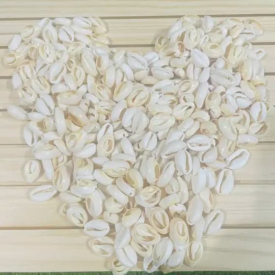 búzios natural cortado para artesanato - 16x11 100 peças