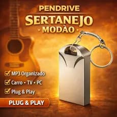 PENDRIVE PARA VIAGENS SERTANEJO FACIL USO EM  MULTIMIDIA CARRO TV PC NOTBOOK CAIXA DE SOM