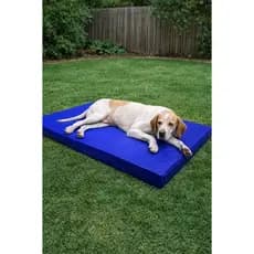 Caminha Para Cachorro Gato Cama Pet Grande 100X60X7CM