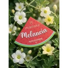 Paleta De Sombra Coleção Melancia Mia Make