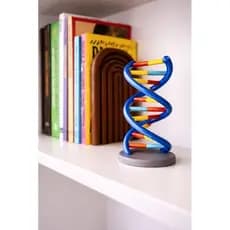 DNA em Espiral - Gene - Modelo Didático | Estrutura da Dupla Hélice para Ensino de Biologia