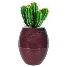 Vaso de Planta Sala Casa Verona Oval liso Premium M
