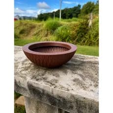Vaso Bacia Rosa Do Deserto Cuia P/ Plantas E Suculentas