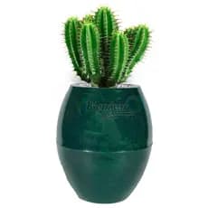 Vaso de Planta Sala Casa Verona Oval liso Premium P