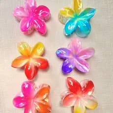 Piranha de Flor Colorida Nova Plumeria Grande / Presilha para cabelo