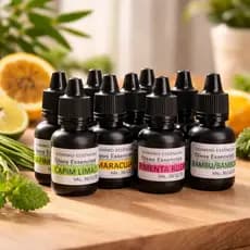 ÓLEOS ESSÊNCIAS | Lavanda | Eucalipto | Citronela | Menta | Canela | Bambu | Melancia | Canela