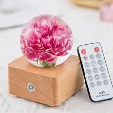 Fabricante Atacadista Dente de Leão de Cristal Caixa de Música Ornamentos Bluetooth Luz Nocturna Luminosa Preservada Flor Presente de Aniversário Z1
