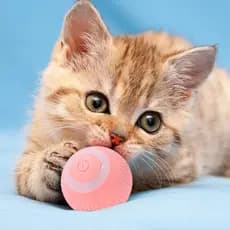 Bolinha Automática Inteligente para Gatos – Movimenta Sozinha com Luz LED
