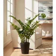 Planta Artificial Zamioculca Decoração Sala Com 1.00 Metros ,Plantas artificiais para Ambientes.