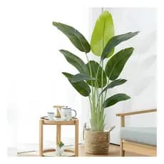 Planta Artificial Bananeira Realista Para Decoração Sala Com 1.60m, Plantas Artificiais Para Decorar.
