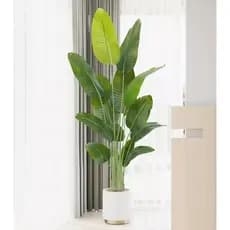Planta Artificial Bananeira Viajante Real Toque Grande Com 1.80m, Plantas Artificias Decorativa para Casa.