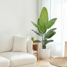 Planta Artificial Bananeira Para Decoração Com 1.20m, Com 9 Folhas Grande Fixada no Vaso Preto.