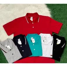 Camiseta Polo Masculina 100% Algodão Adulto de homem Basica Promoção
