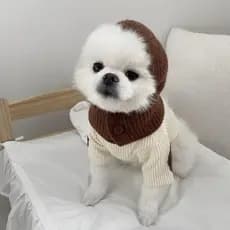 Chapéu De Malha Para Cachorro NEXMO , Cachecol Macio Com Capuz Animais De Estimação , Urso De Gato Confortável De Cor Só
