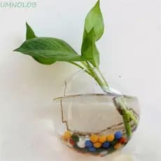 UMNOLOB Vaso Montado Na Parede , Recipiente Para Plantas , De Flores , Garrafa De Arranjo De Vidro