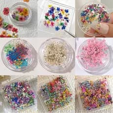Flores secas acessórios de Manicure flores coloridas rendas misturadas pequenas decorações florais de unhas usando supri