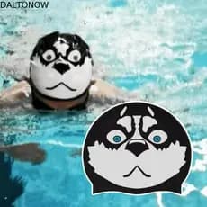Chapéu De Natação DALTONOW , Touca De Silicone Criativa E Engraçada Banho Fuuny Para Cachorro , Acessórios Piscina