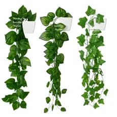 3 Hera Artificial Pendente + Vaso Branco quadrado G – Kit Arranjo Completo Elegante e Natural Decoração