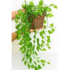 Planta Decorativa 2M + Vaso Trançado Marrom 1 Pendentes Artificial Folhas de Hera Verde
