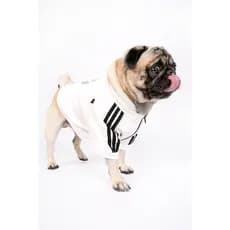 Moletom Pet Roupa De Cachorro Moletom Para Cães luxo porte PQ Gatos Com Capuz Esportiva Algodão Hoodie com Zíper Grande