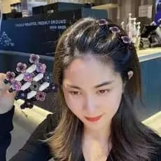 Confira Presilhas de Cabelo com Pedras de Cristal Brilhantes e Strass Trançadas - Presilhas Elegantes para Mulheres e Me