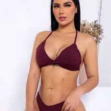 Gina Biquíni Asa Delta Com Bojo Conjunto Calcinha e Sutiã Varias Cores