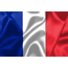 Bandeira Da França Grande Cetim com Acabamento 150x1,00