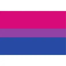 Bandeira Bissexual Grande Cetim com Acabamento 150x1,00