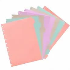 Kit 8 Peças Divisórias Coloridas Para Caderno Inteligente B5 10 Discos
