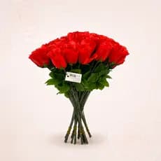 Kit 30 Rosas Artificiais Vermelhas Tipo Botão – Pick para Decoração e Arranjos