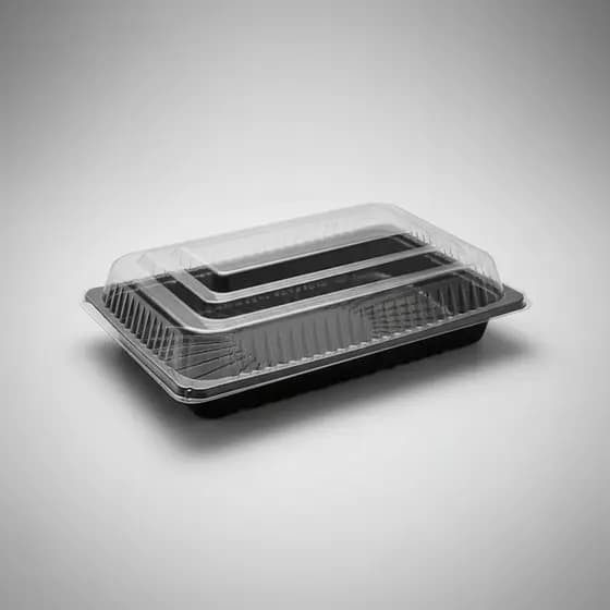 Embalagem Oriental Para Sushi Grande Galvanotek GO-918 Descartável 26x19cm
