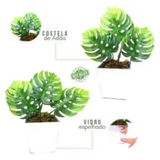 Kit vasinho com Costela de Adão artificial espelhado
