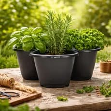 Vasos Flor Tacho Pétalas 11,5 Litros Plástico Vaso Para Flores Plantas Jardim