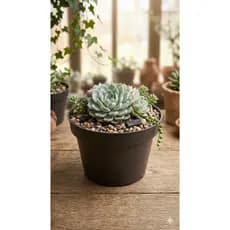 Vaso Pote Nº11 100 Unidades Para Plantar Suculentas Mudas Jardim