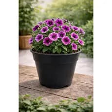 Kit 10 Vasos 2,5 Litros Mudas Horta Hortaliças Ervas Suculentas Plantas Flores Pote 19 Jardinagem