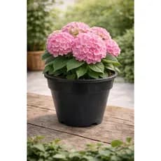 Kit 10 Vasos Plásticos Pote 20cm Reforçados Plantas Flores e Horta Jardinagem Completa