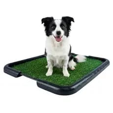 Sanitário Tapete Higiênico Grama Sintética Xixi Cachorro Cães Canino Banheiro