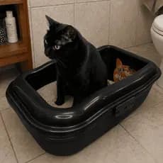 Caixa Areia Furba Furbox Pet Banheiro Gato Grande Bandeja Sanitário Inteligente Alta Envio Imediato