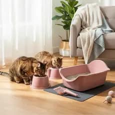 Caixa De Areia Furba Para Gato Grande Bandeja Sanitaria Durapets Kit